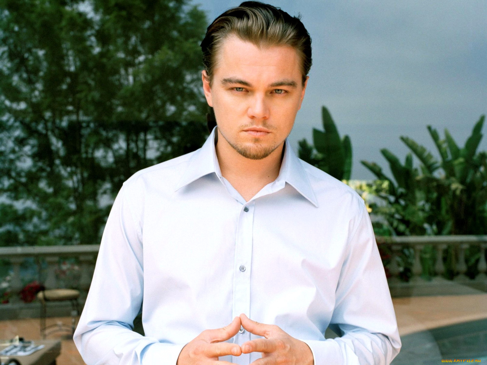 leonardo, dicaprio, 